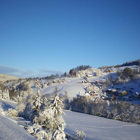 Cozy Apartment In Ore Mountains With Balcony Breitenbrunn  Bagian luar foto