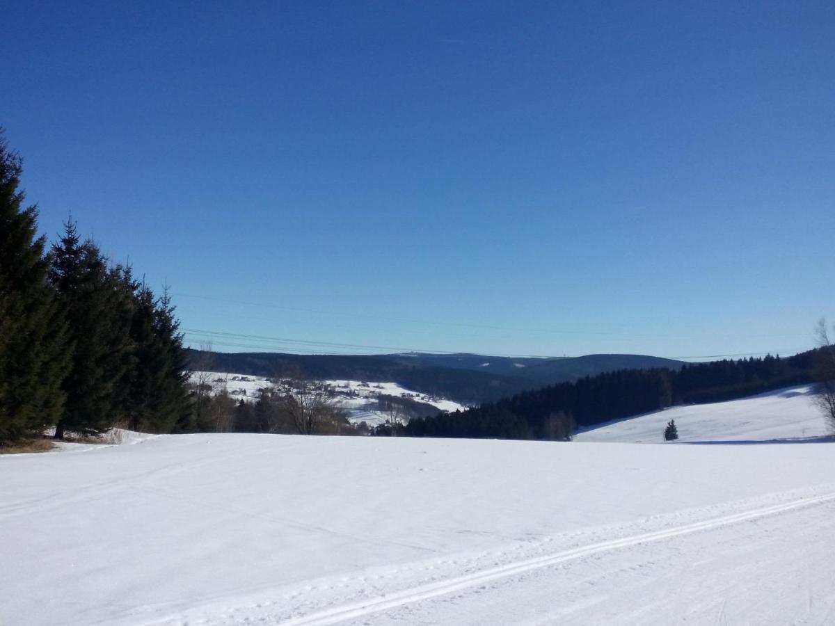 Cozy Apartment In Ore Mountains With Balcony Breitenbrunn  Ruang foto