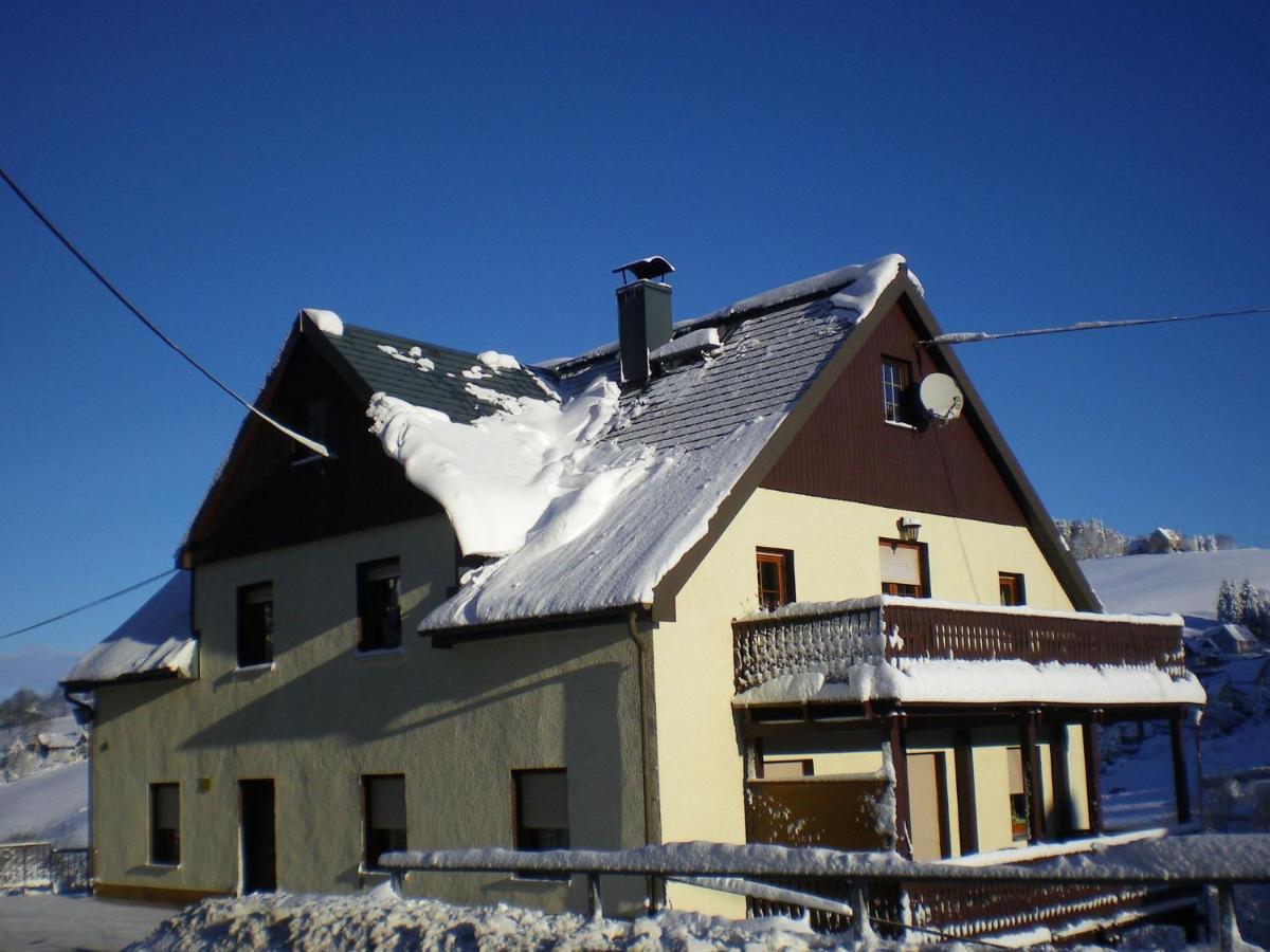 Cozy Apartment In Ore Mountains With Balcony Breitenbrunn  Bagian luar foto