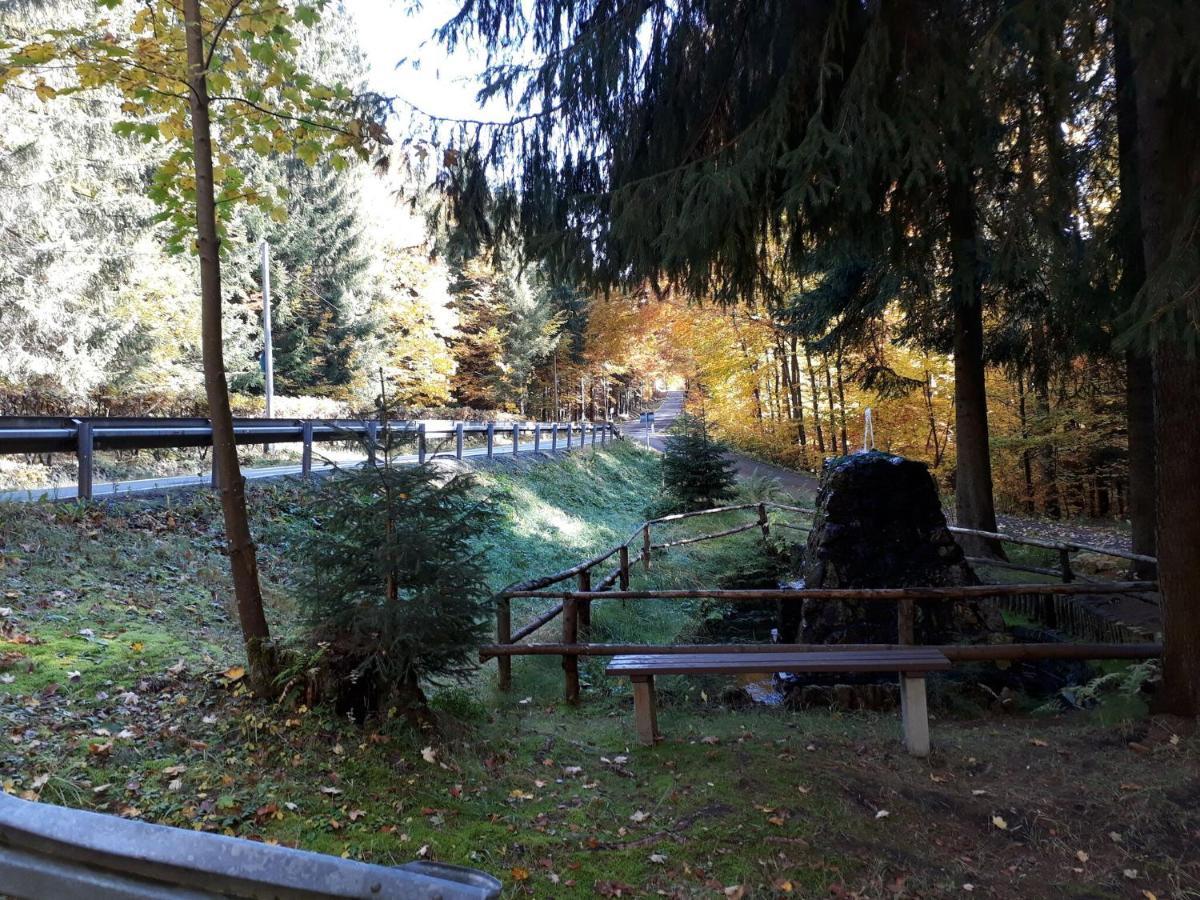 Cozy Apartment In Ore Mountains With Balcony Breitenbrunn  Bagian luar foto