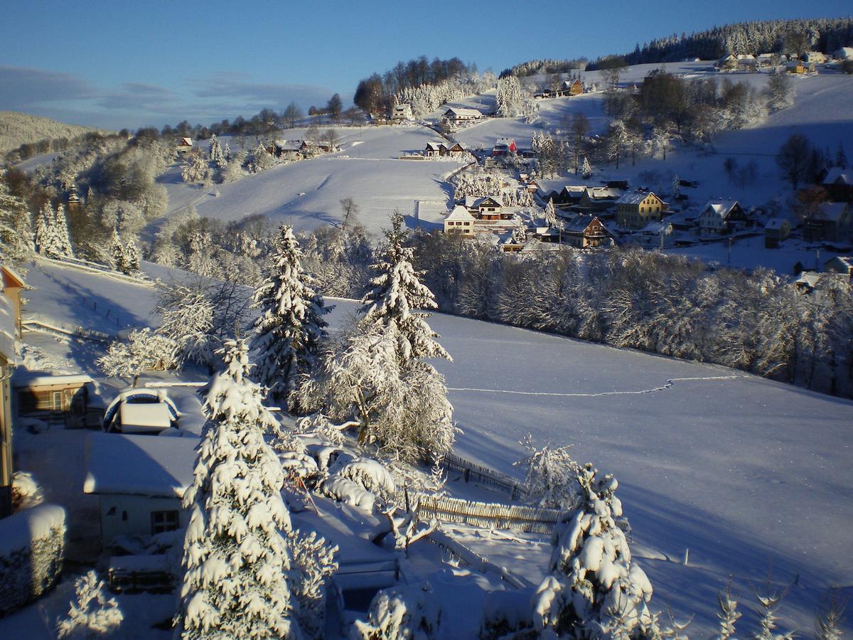 Cozy Apartment In Ore Mountains With Balcony Breitenbrunn  Bagian luar foto